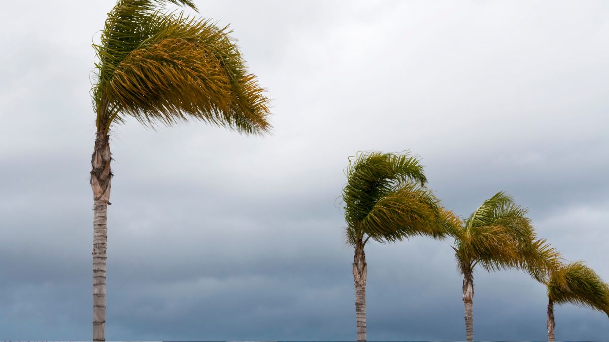 JUÁREZ NUEVO LEÓN CLIMA