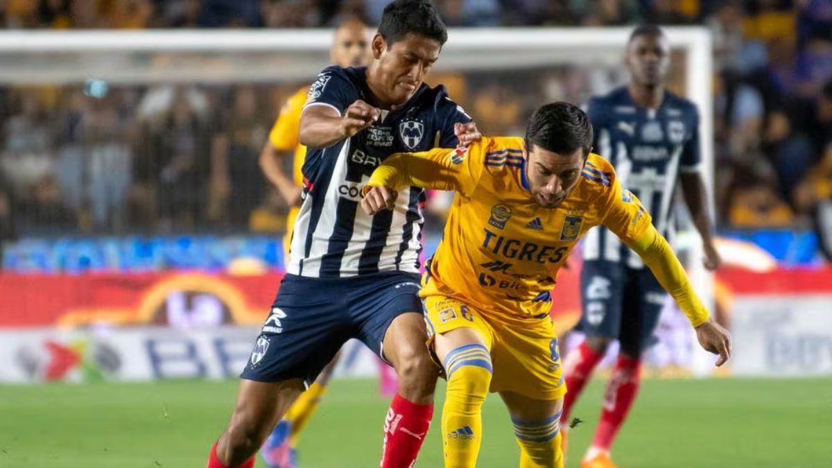 TIGRES RAYADOS NUEVO LEÓN