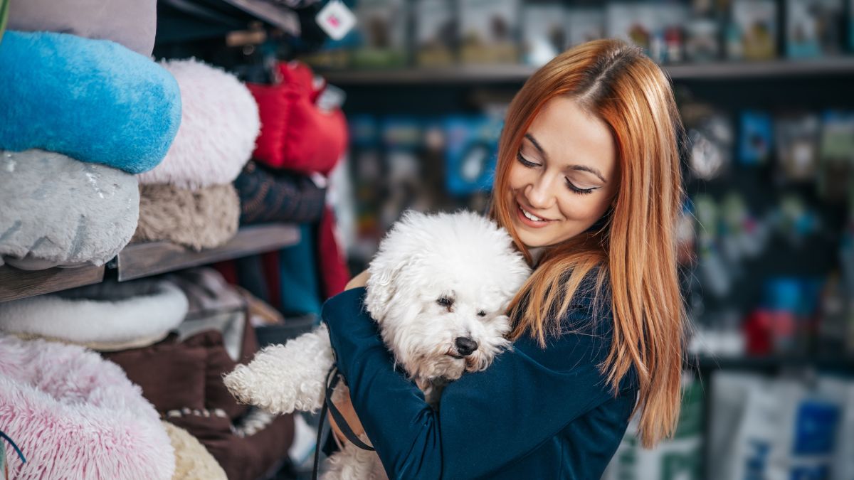 VENTA DE MASCOTAS NUEVO LEÓN