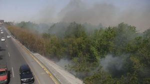 RÍO SANTA CATARINA INCENDIOS