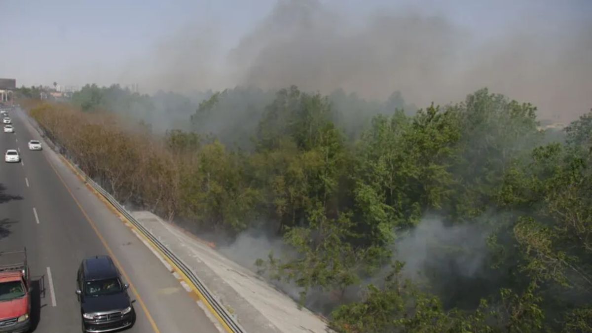 RÍO SANTA CATARINA INCENDIOS