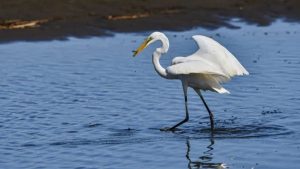ÁREAS NATURALES NUEVO LEÓN