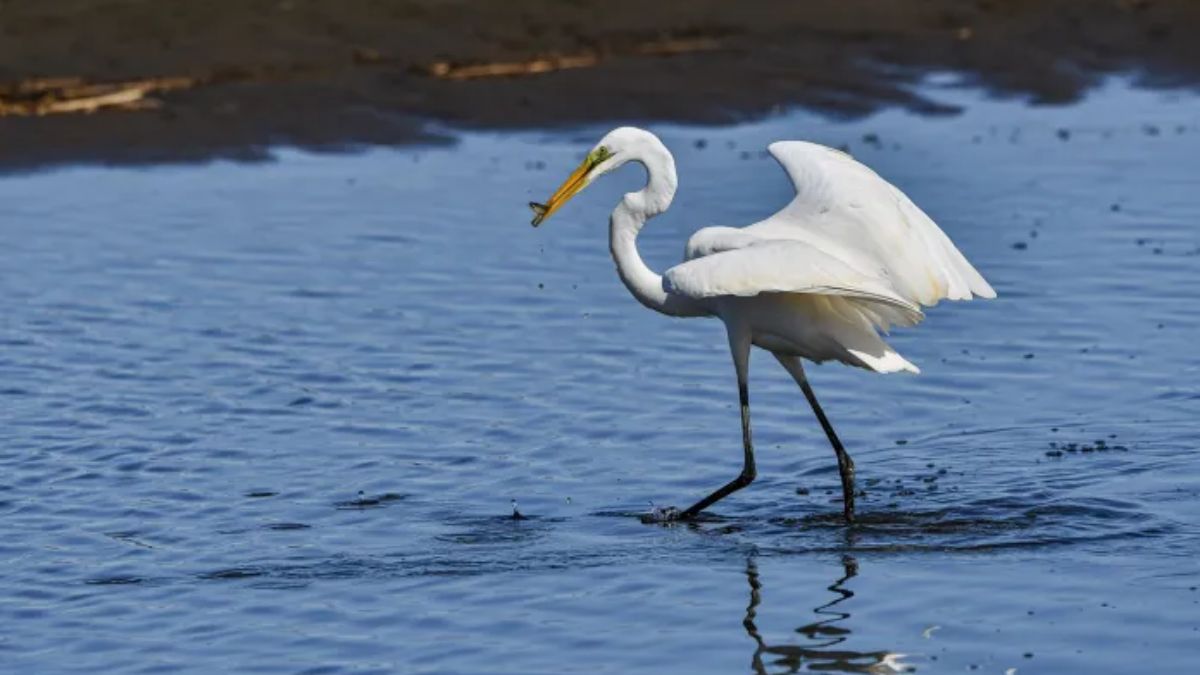 ÁREAS NATURALES NUEVO LEÓN