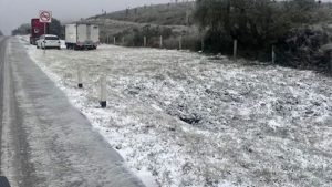 SALINAS VICTORIA CARRETERA