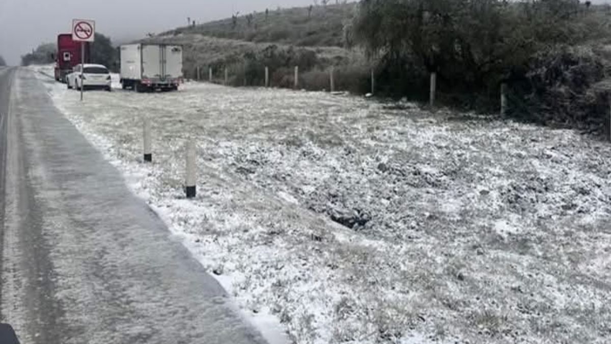 SALINAS VICTORIA CARRETERA