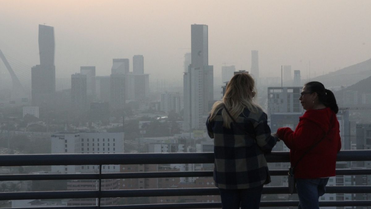PRESUPUESTO MEDIO AMBIENTE