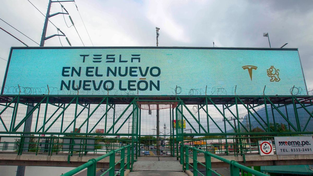 TESLA NUEVO DESPOJO TIERRAS