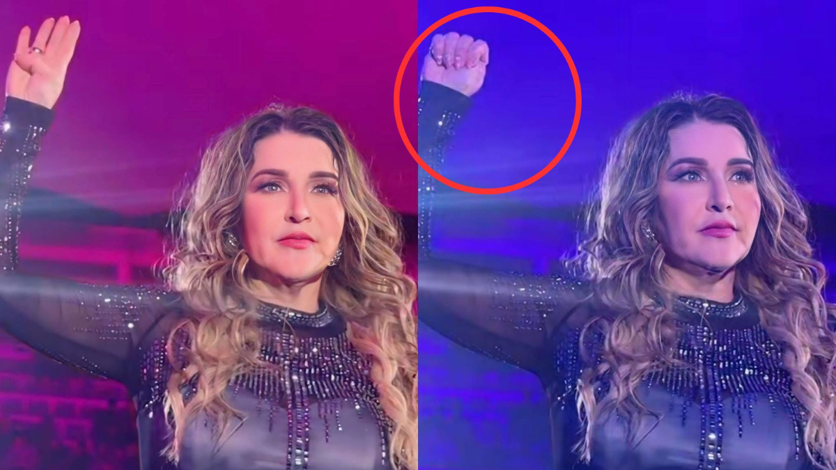Alicia Villarreal y su Sorprendente Señal en Concierto