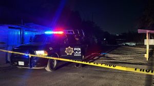 MOVIMIENTO CIUDADANO SEGURIDAD