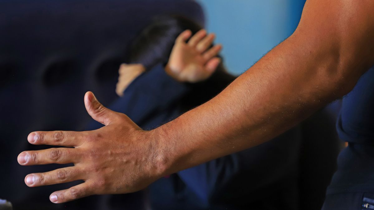 VIOLENCIA FAMILIAR NUEVO LEÓN