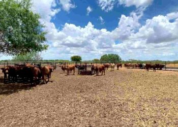 SEQUÍA CHINA Nuevo León