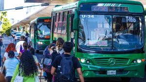 CAMIONES-VERDES-CHOFERES