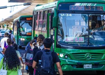 CAMIONES-VERDES-CHOFERES