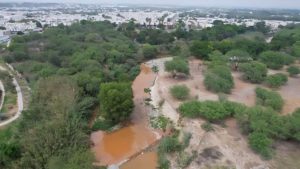 TERNIUM Nuevo León CONTAMINACIÓN