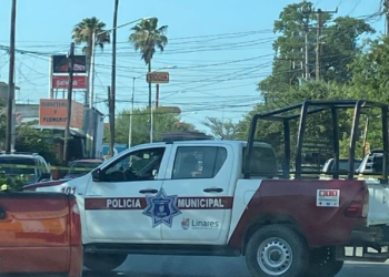 violencia-criminal región-citrícola nuevo-león