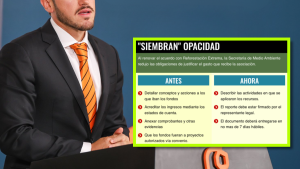 Reforestación Extrema