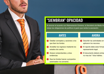 Reforestación Extrema