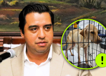 centro animal de santa catarina