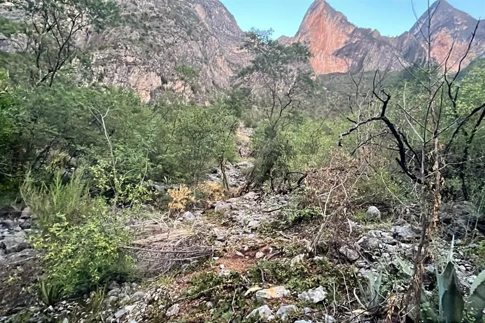 El desmonte de la Huasteca ha avanzado por trabajos del extinto proyecto de la Rompepicos 2.