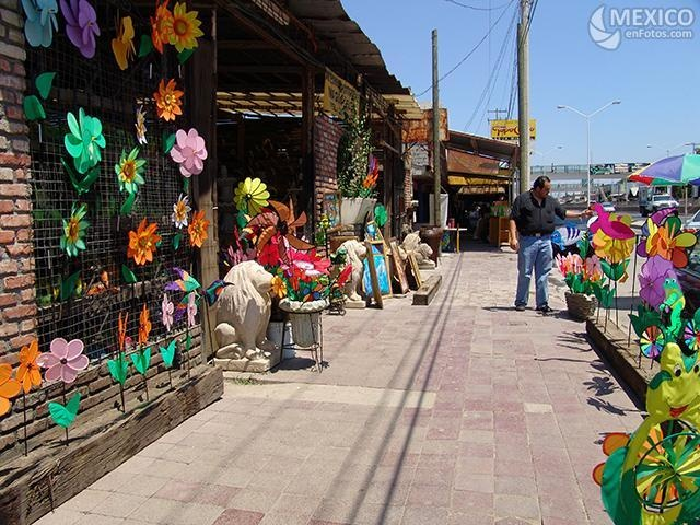 babuino-en-Santiago-Los-Cavazos-Presa-La-Boca-Nuevo-León