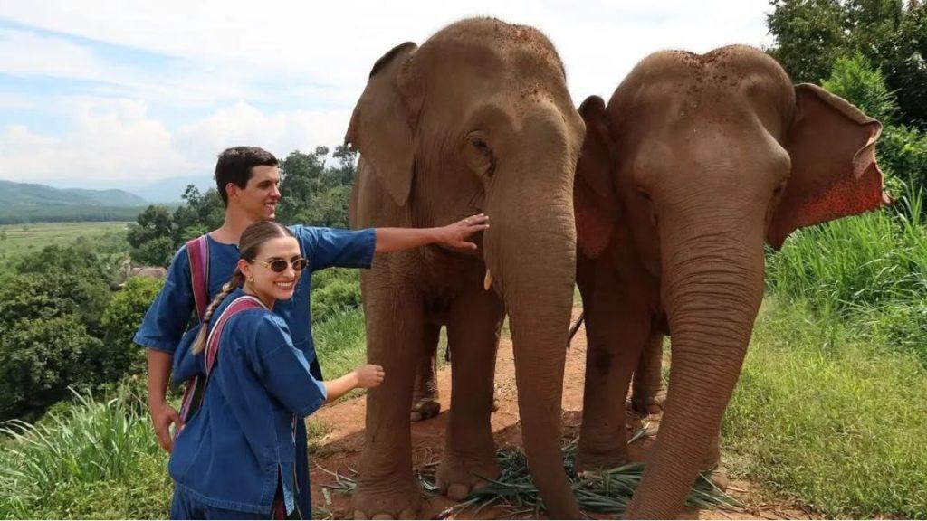 Man and woman in blue outfits pet two elephants on a dirt path in a green, hilly landscape.