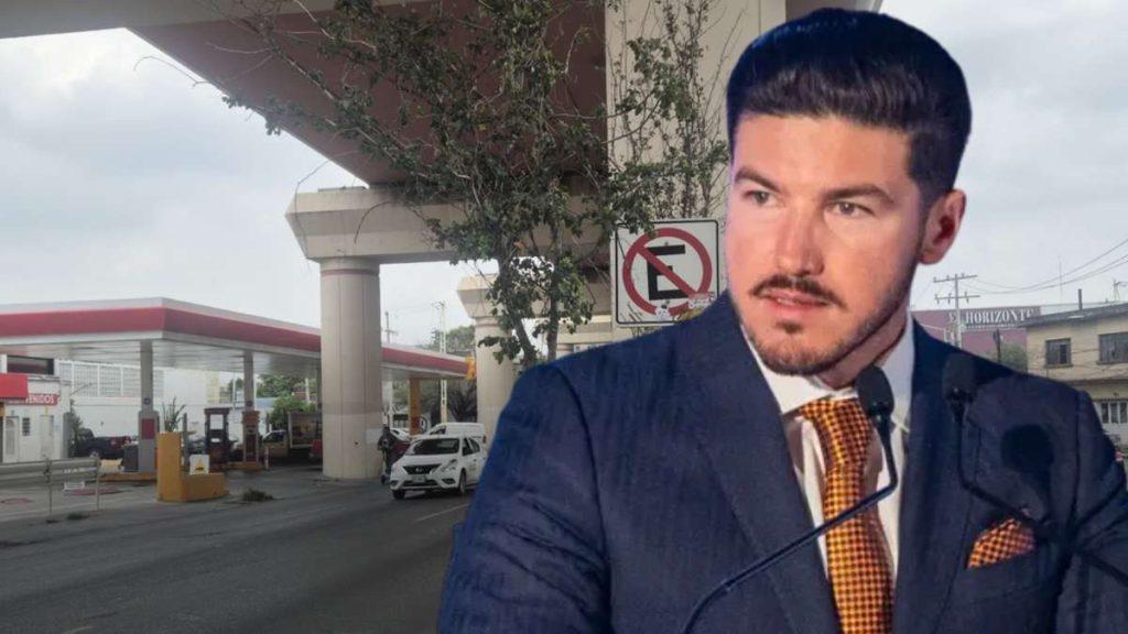 Árboles del metro de Nuevo León