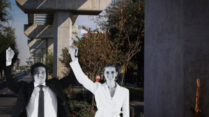 la oms destapa la carencia que tiene nuevo león de árboles
