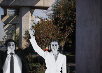 la oms destapa la carencia que tiene nuevo león de árboles