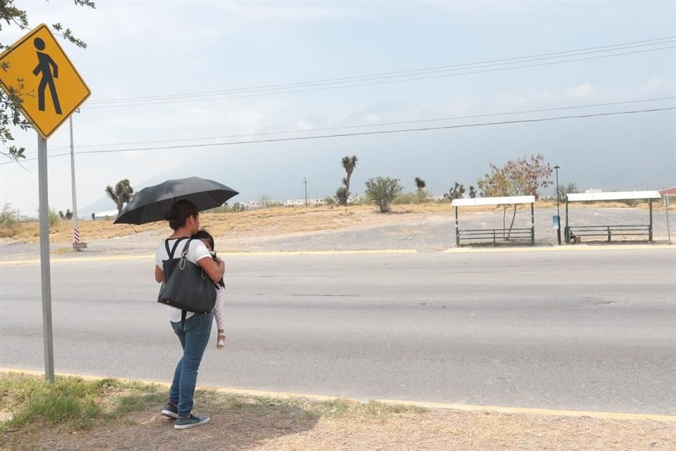 la oms demuestra el déficit de árboles en Nuevo León
