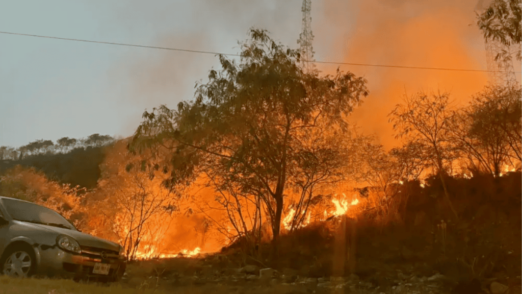incendios-forestales-en-nuevo-león - Minuto Cero Incendios forestales en Nuevo León