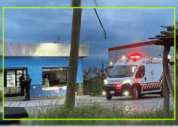 Homicidio en depósito de cerveza en Linares - Minuto Cero