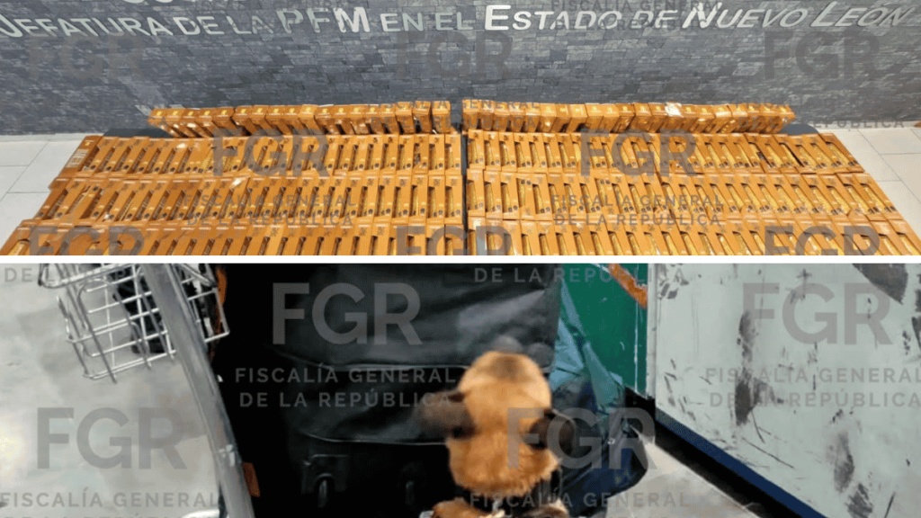 Pasajero procedente de Colombia con cocaína líquida en el aeropuerto de Monterrey - Minuto Cero